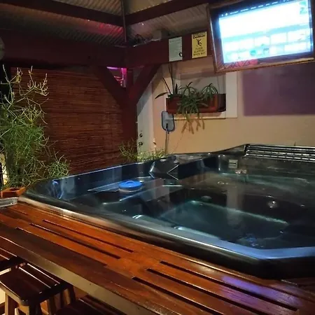 Tampa Bay Beautiful Apartment And Private Jacuzzi